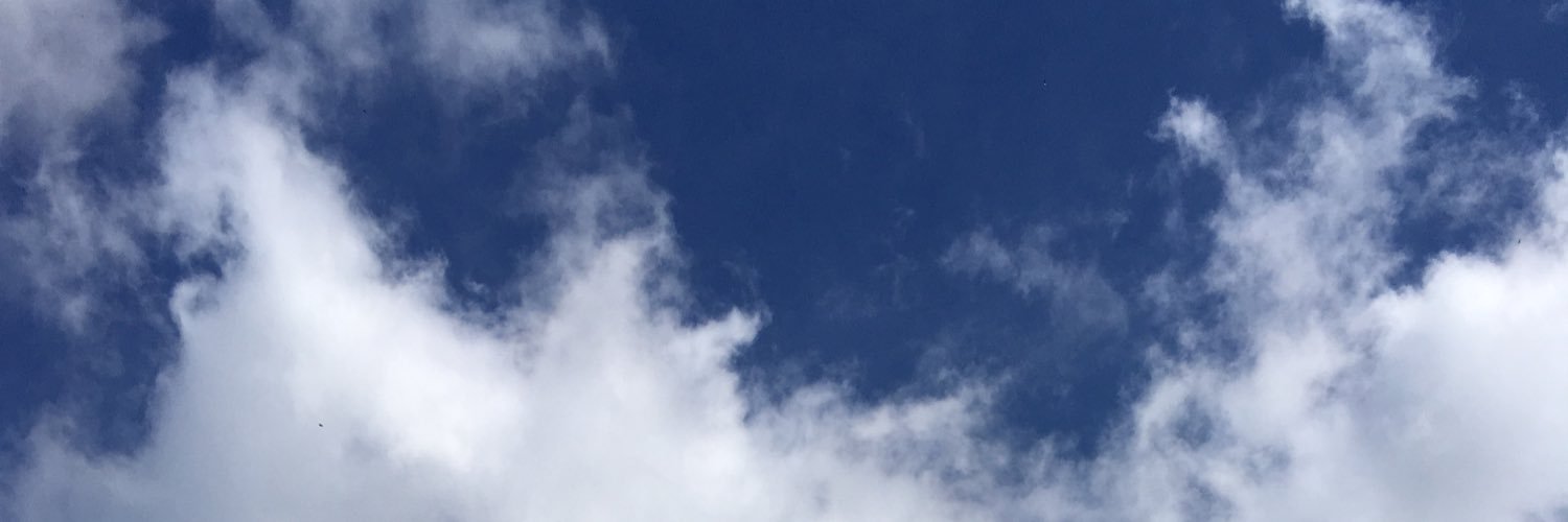 Cédric Pietralunga banner