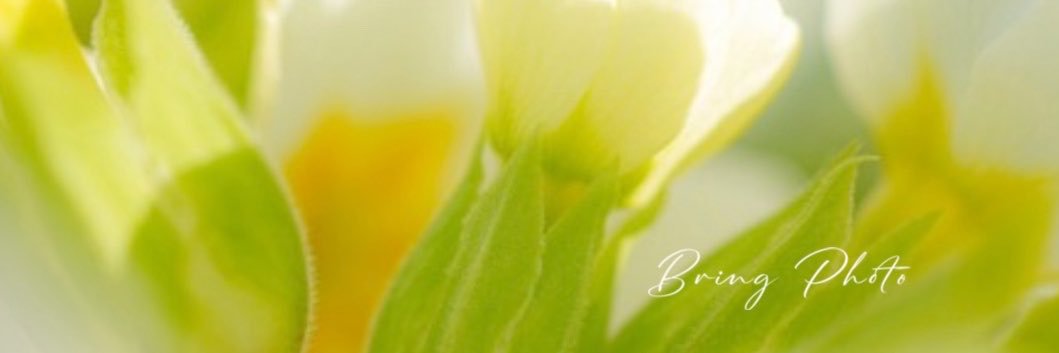 naoko7612's profile banner image
