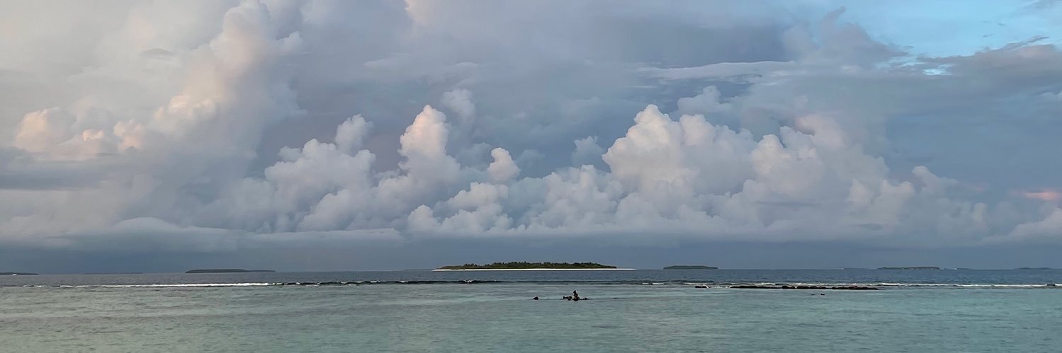 dshncnk's profile banner image