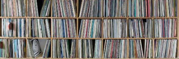 howiethebear Profile Banner