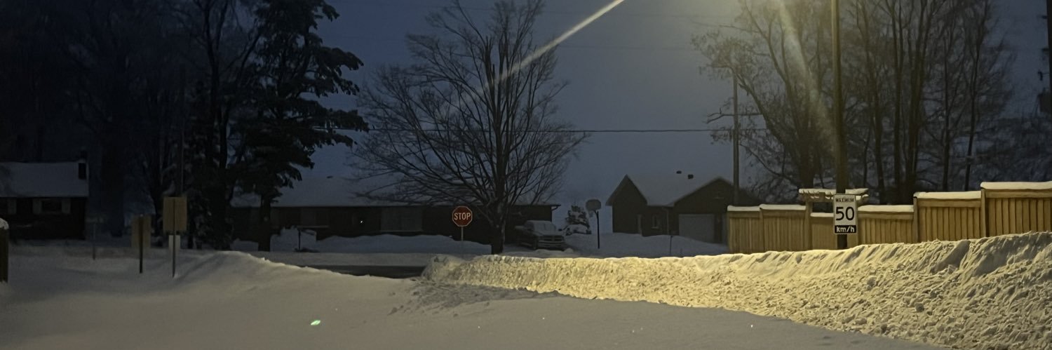 RITSU 🇨🇦 banner