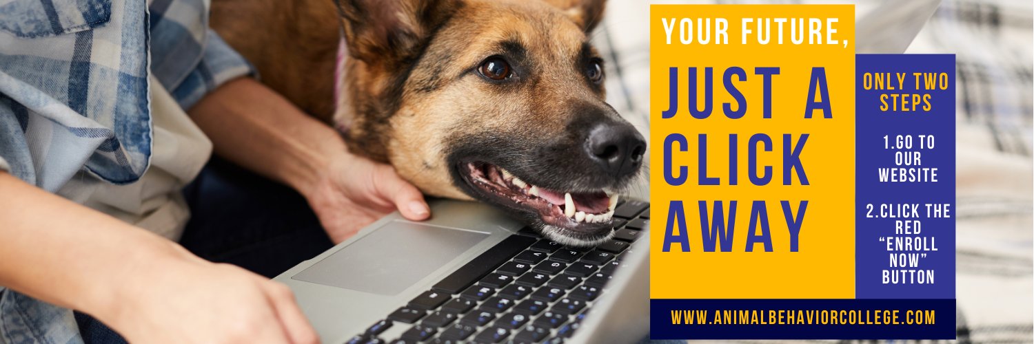 Animal Behavior College banner