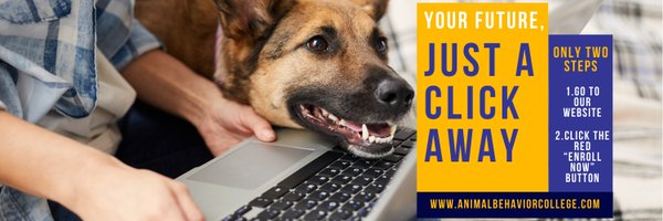 AnimalBehaviorC Profile Banner
