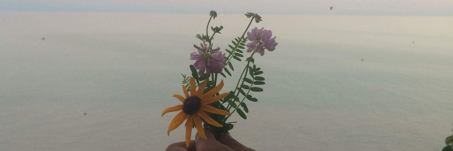 melissagallant4's profile banner image