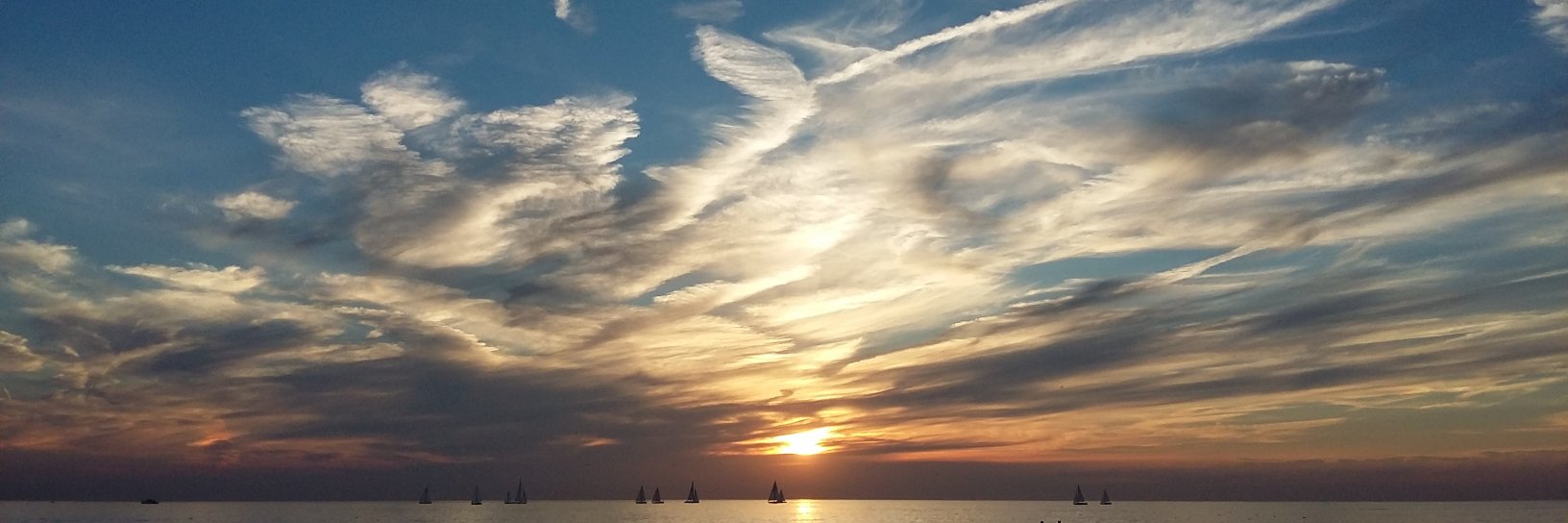 Joost de Vries banner