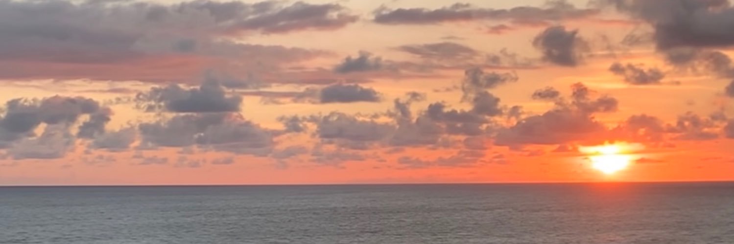 orojas's profile banner image