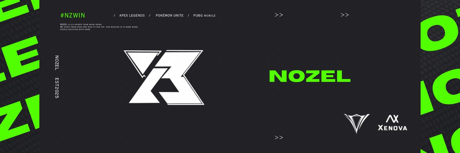 NOZEL PUBG MOBILE Div. banner