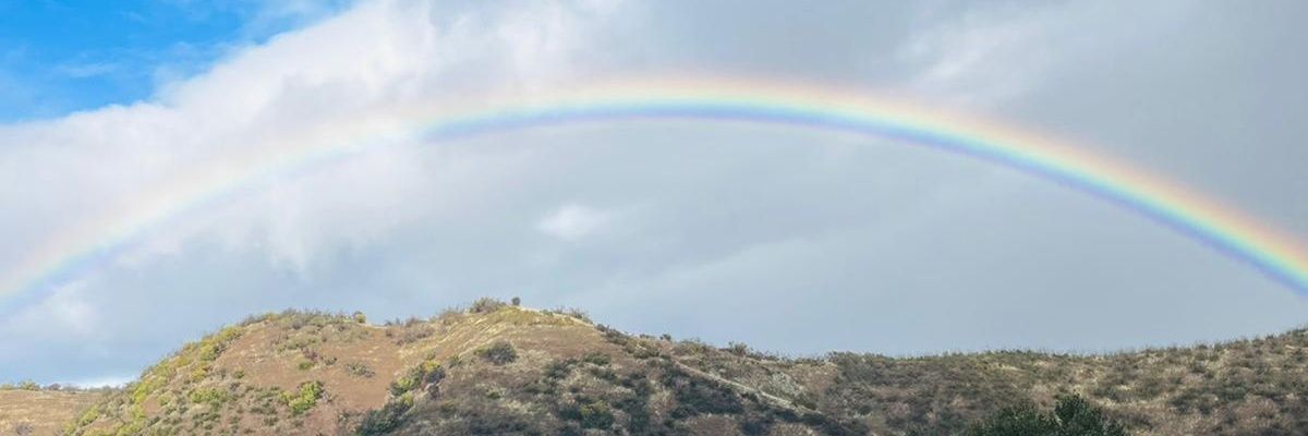 StephenIpe's profile banner image
