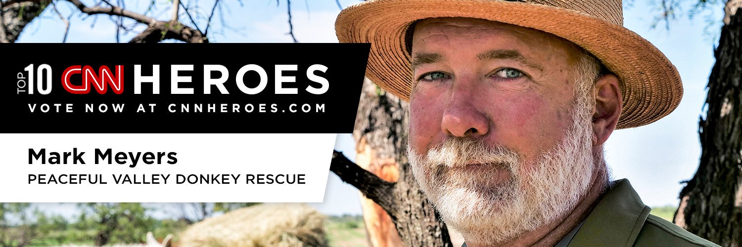 donkeyrescue's profile banner image