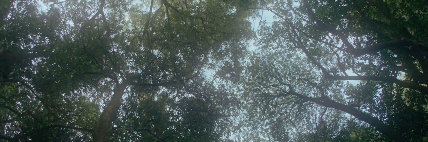 Goodbye Monkey banner