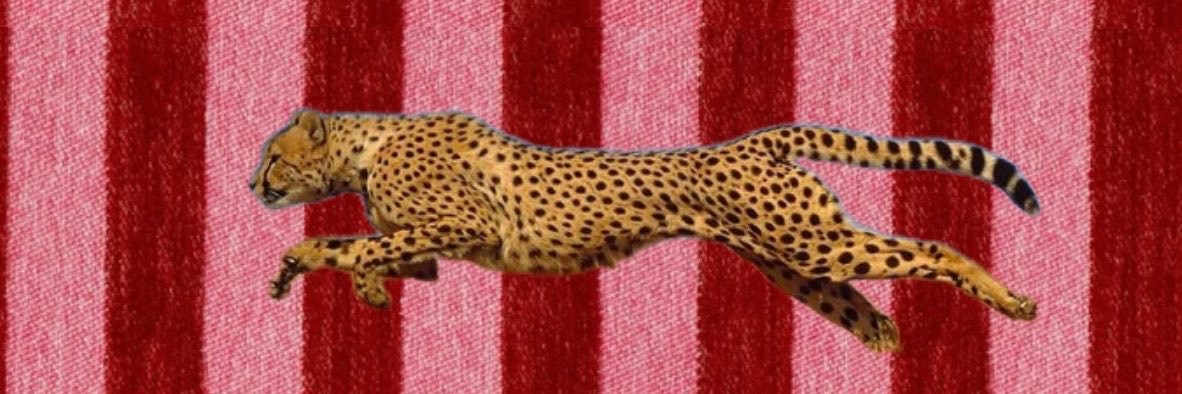 iisnn_'s profile banner image