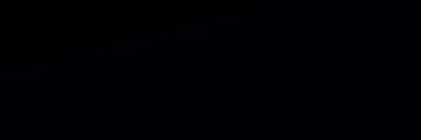daily2hollis Profile Banner