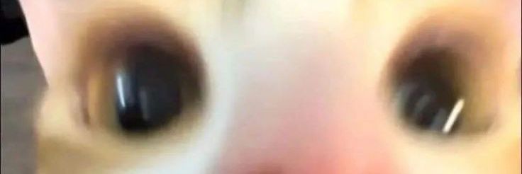 fufu (akun jajan!) banner