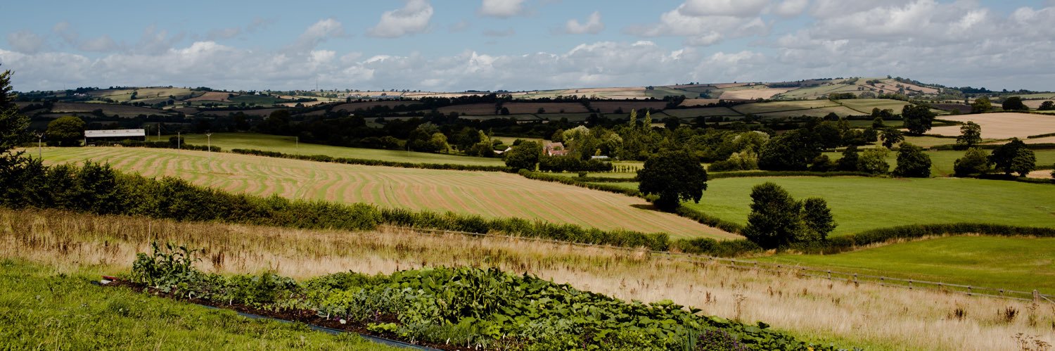 Josh Eggleton banner