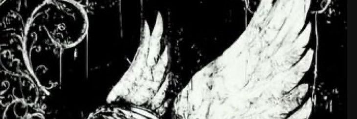 lextyuer's profile banner image