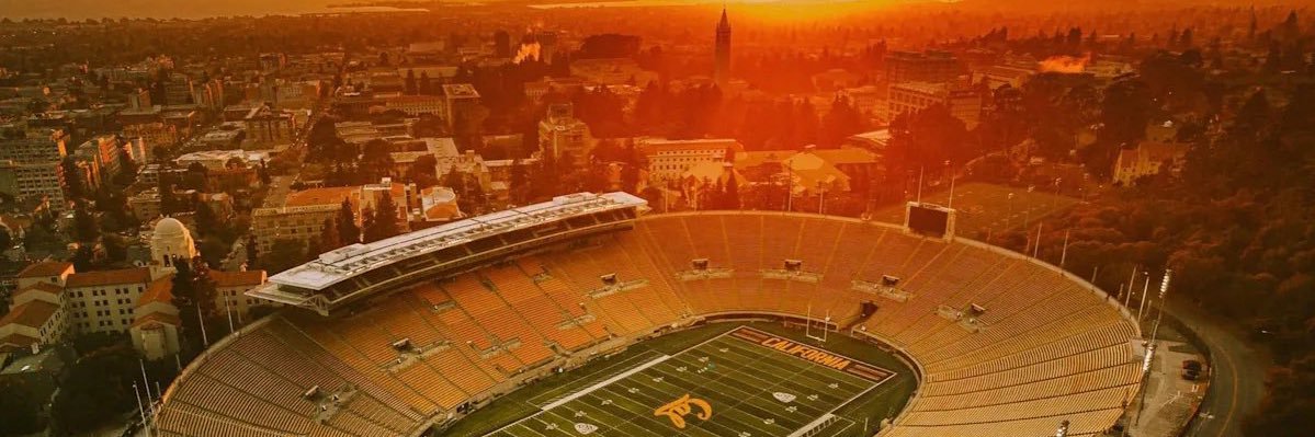 Dr. Golden Bear, MD banner