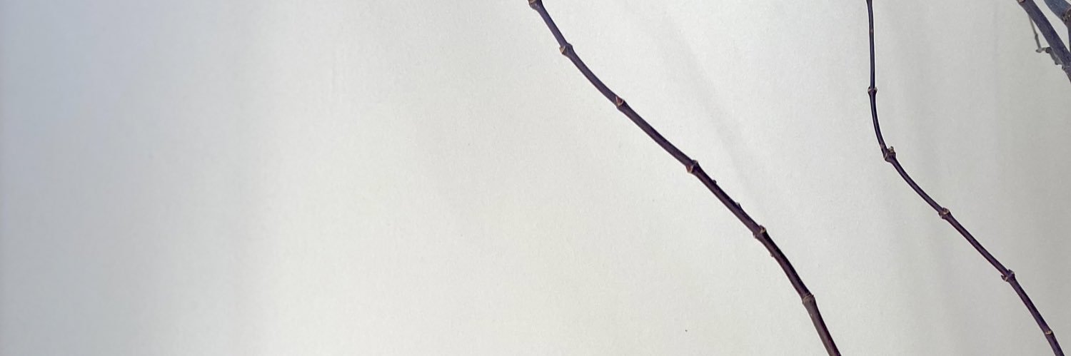 mgndvn's profile banner image