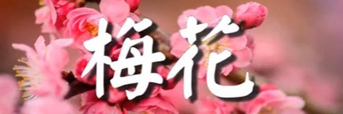 Mei 梅 banner