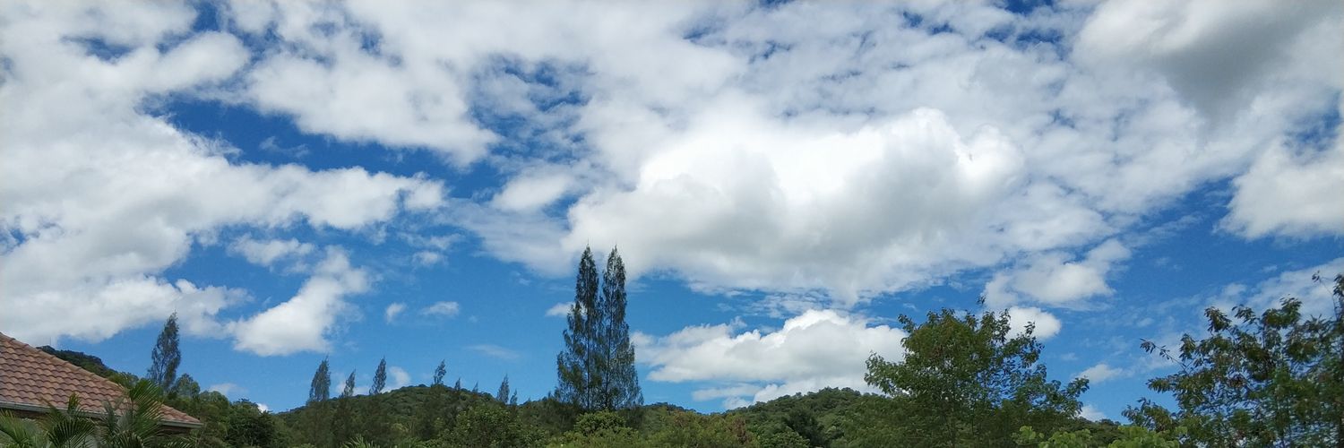 jichiduo's profile banner image
