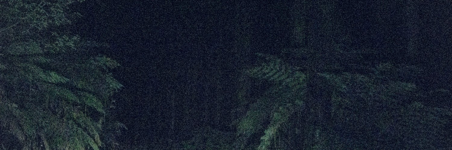 anightoncanopy's profile banner image