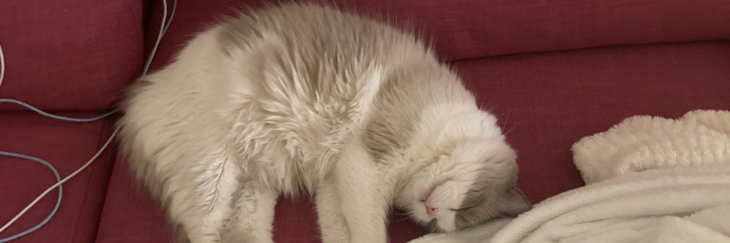 sleepyleetcoder's profile banner image