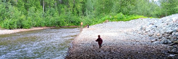 AkBearMomma Profile Banner