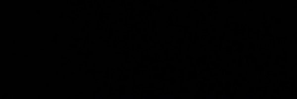 5rizann Profile Banner