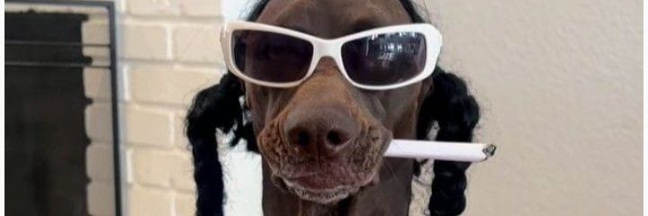 lordmanuel_'s profile banner image