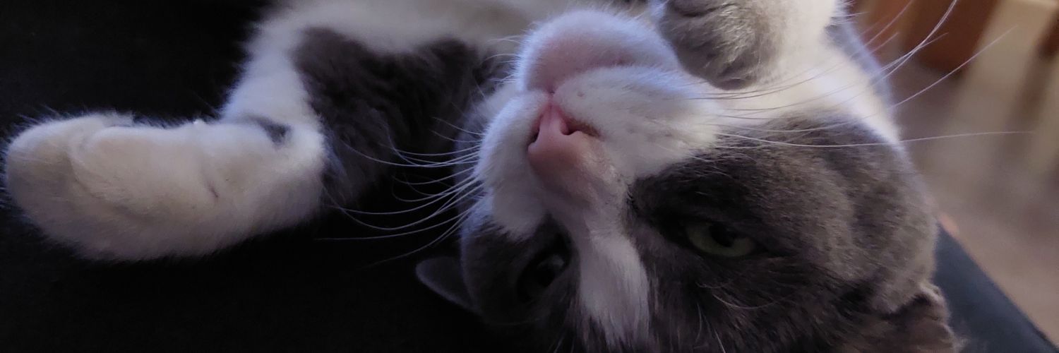 DiegDieg_'s profile banner image