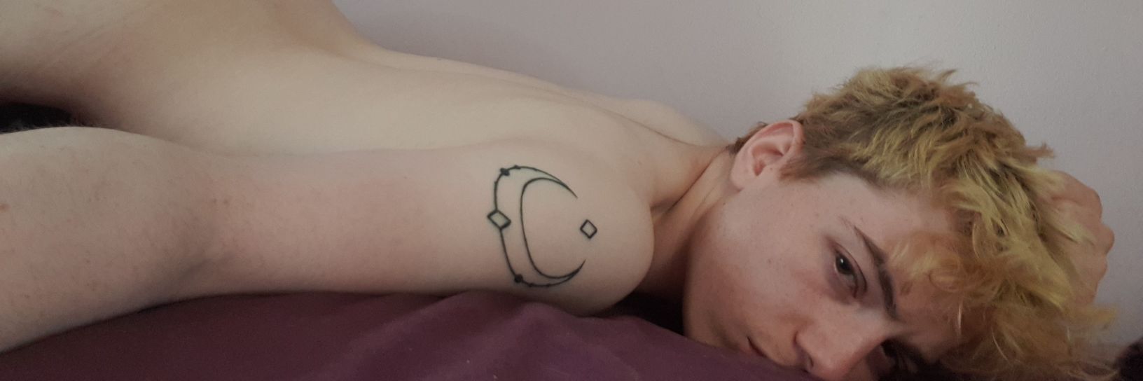 Welsh twink banner