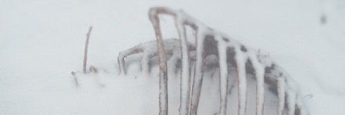 ༄𝐄𝐦𝐢 | 𝐄𝐝𝐭𝐰𝐭 banner