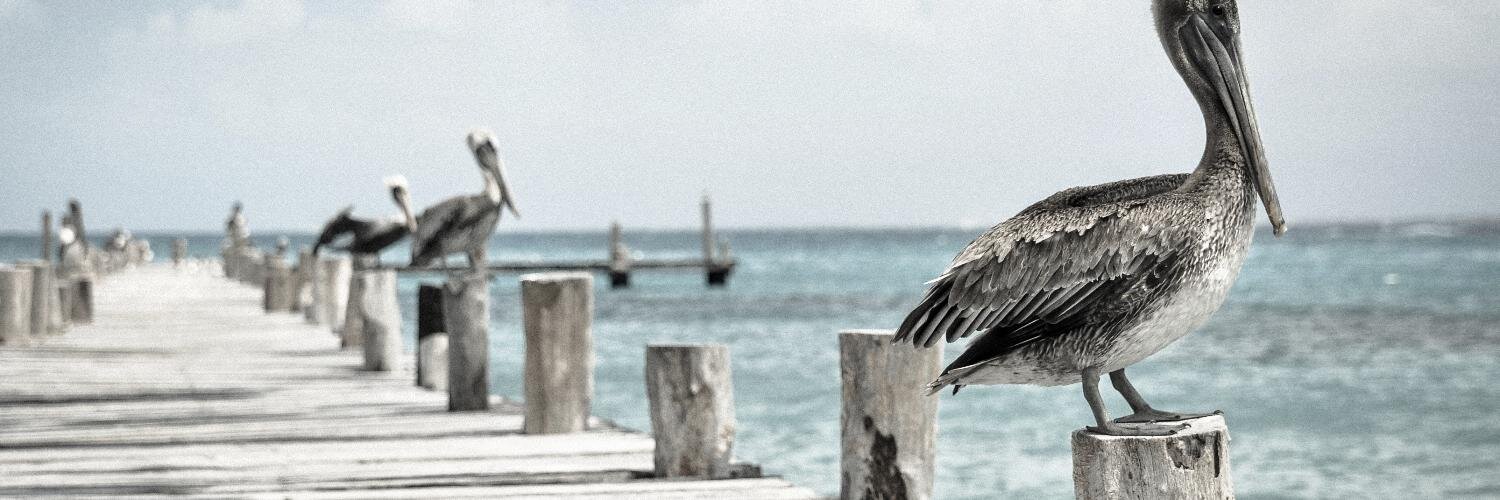 saminute's profile banner image