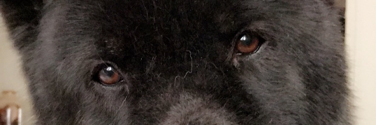 Vana__MAC's profile banner image