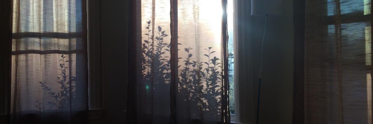 Electric Mantis banner