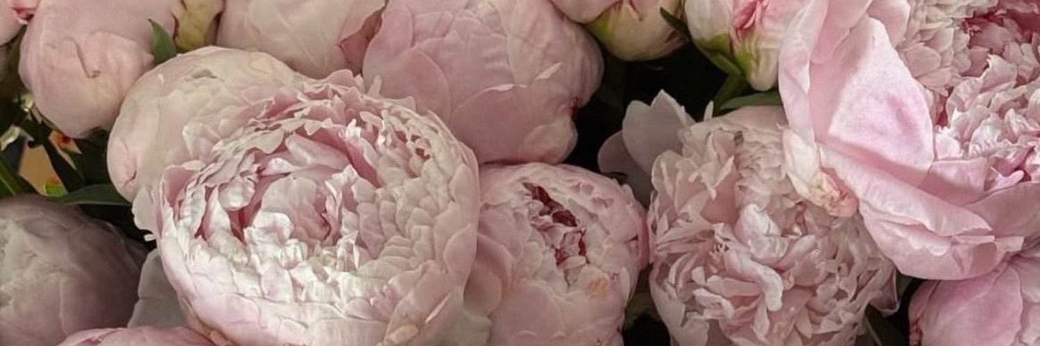 👸🏻 banner