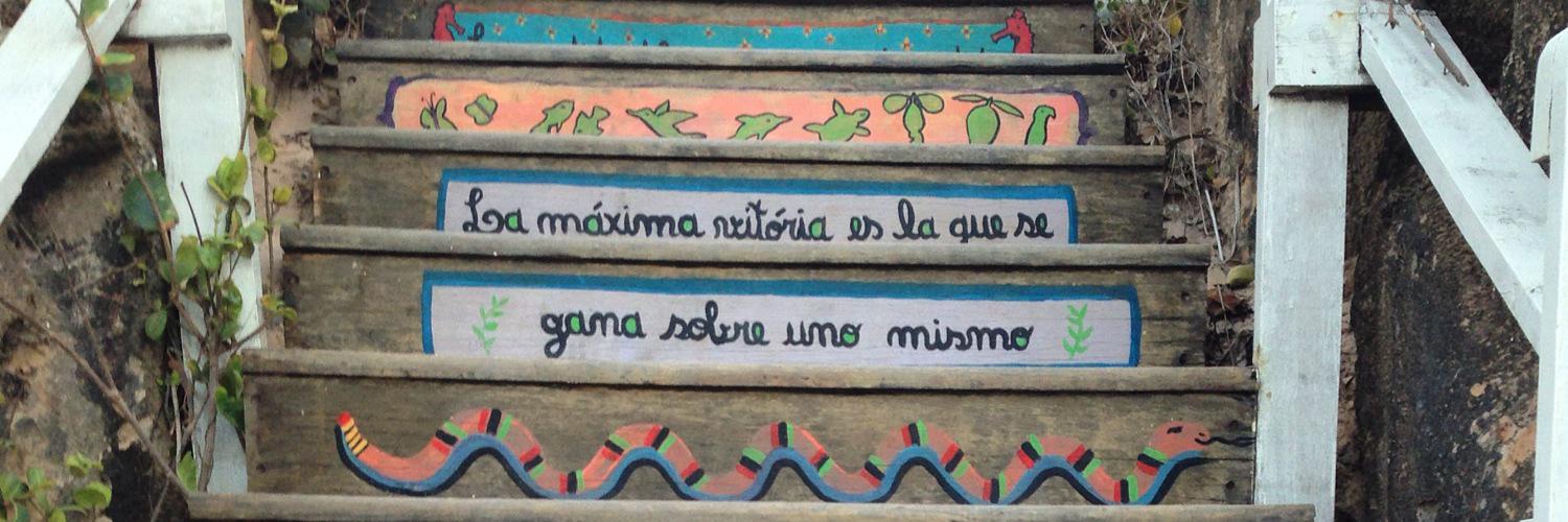 Luana Evangelista banner