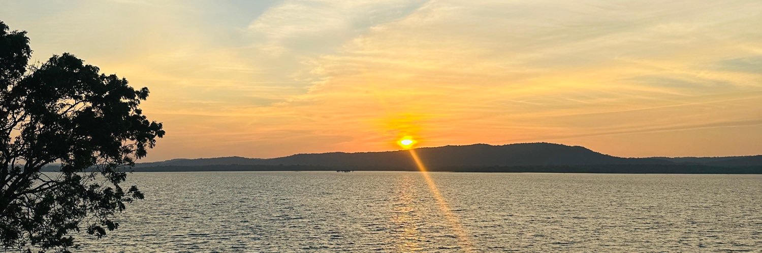 Sofia Isabella banner