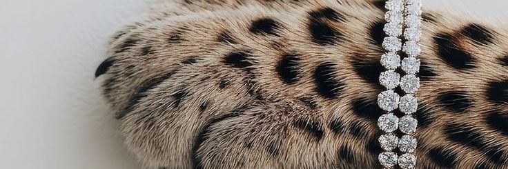 Natty_96's profile banner image