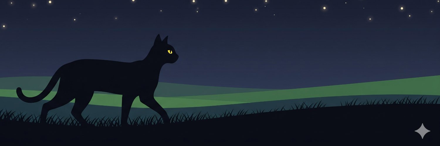 vera_aikoo's profile banner image