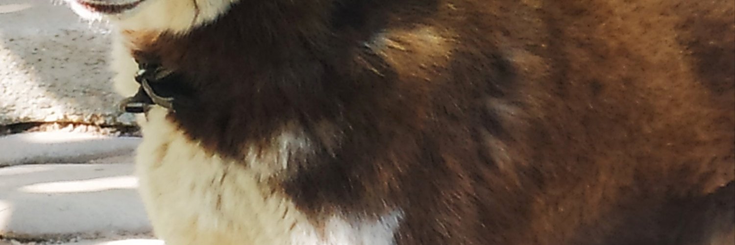 gbimob's profile banner image