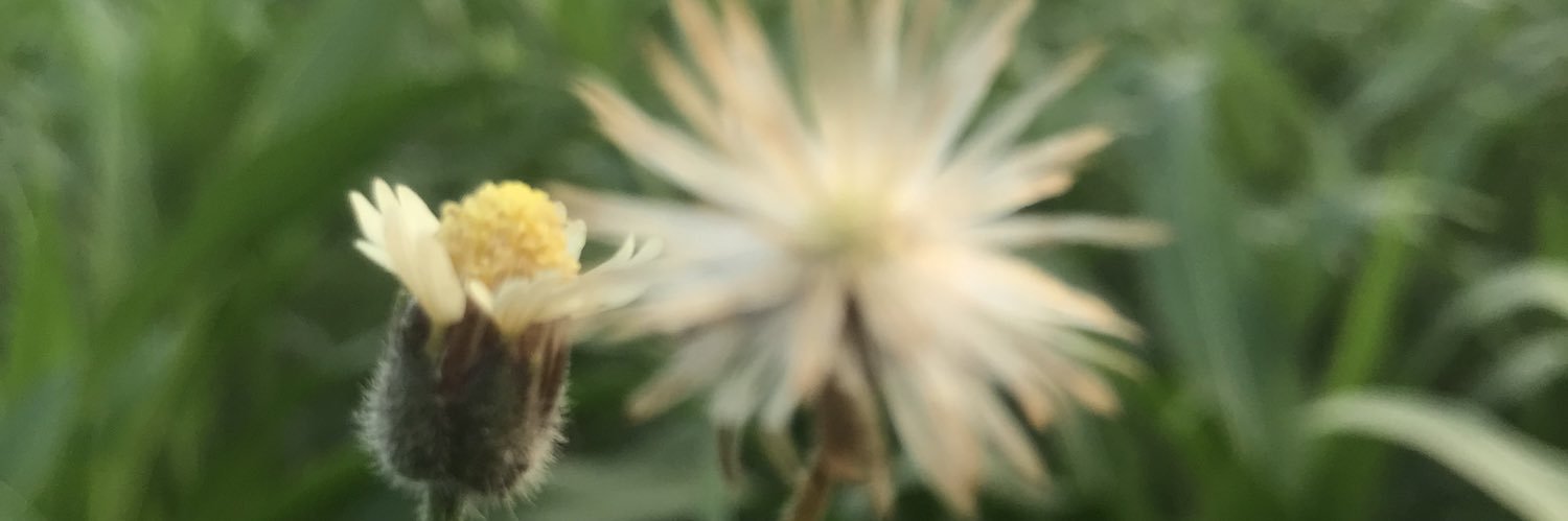 ChillTujuh's profile banner image