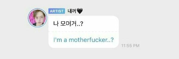 olive 🐻🌙 lee know/scoups smoocher banner