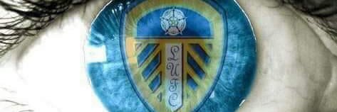 shaneibbo's profile banner image