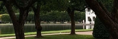 🪷 banner