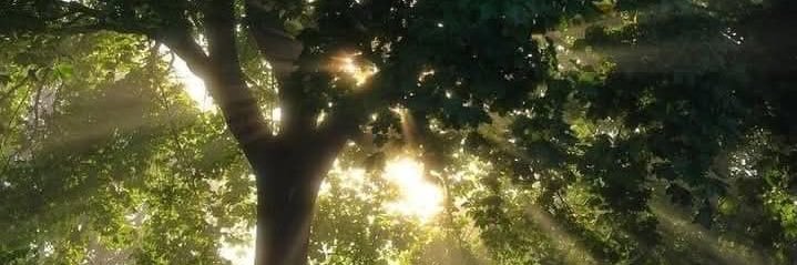 electrolyteluv's profile banner image