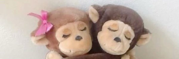 hambuguinea Profile Banner