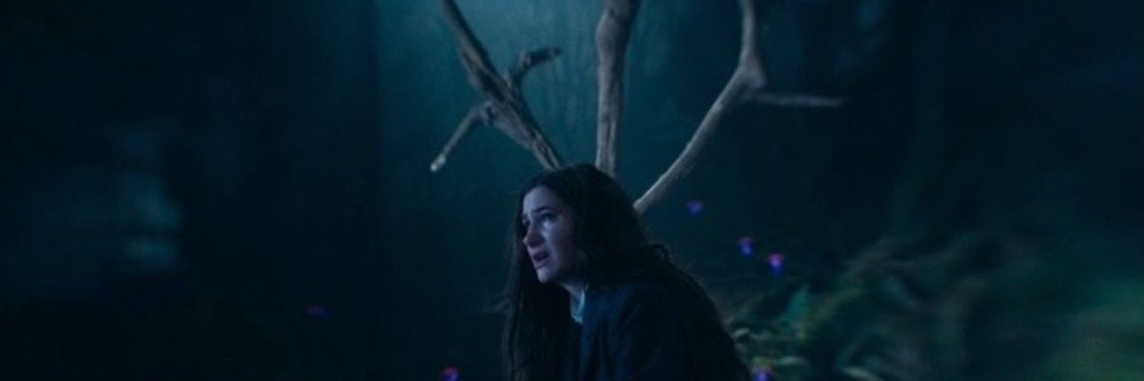 Agatha Harkness banner