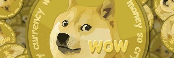 DogeInDaHouse's profile banner image