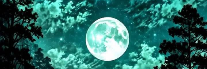 cryptain_'s profile banner image