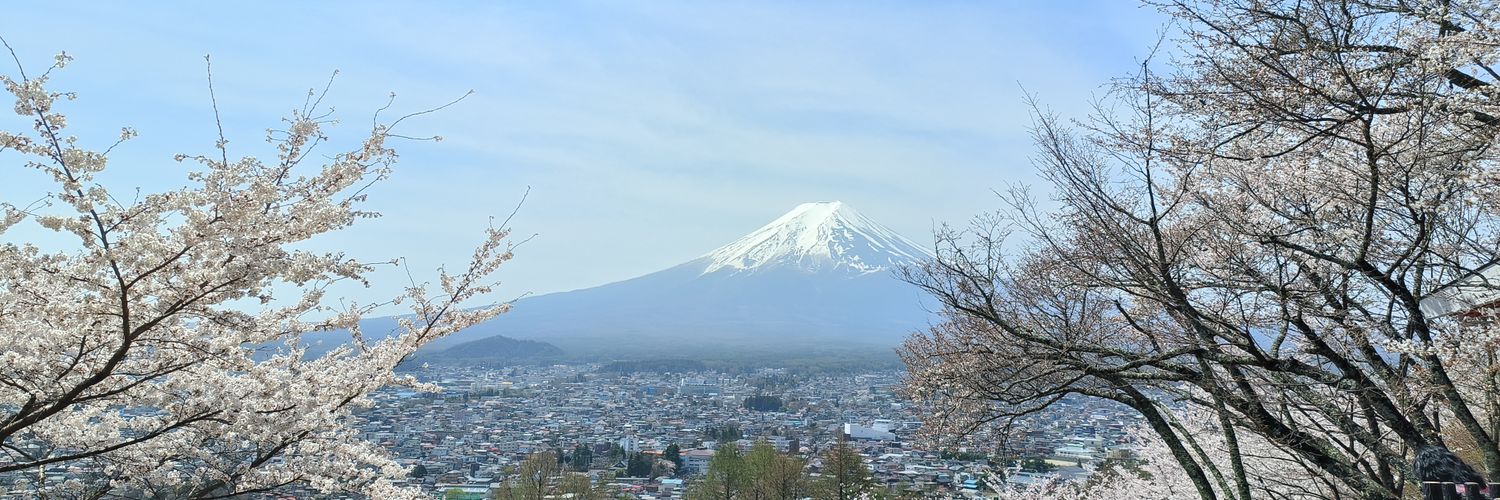 sehseh's profile banner image